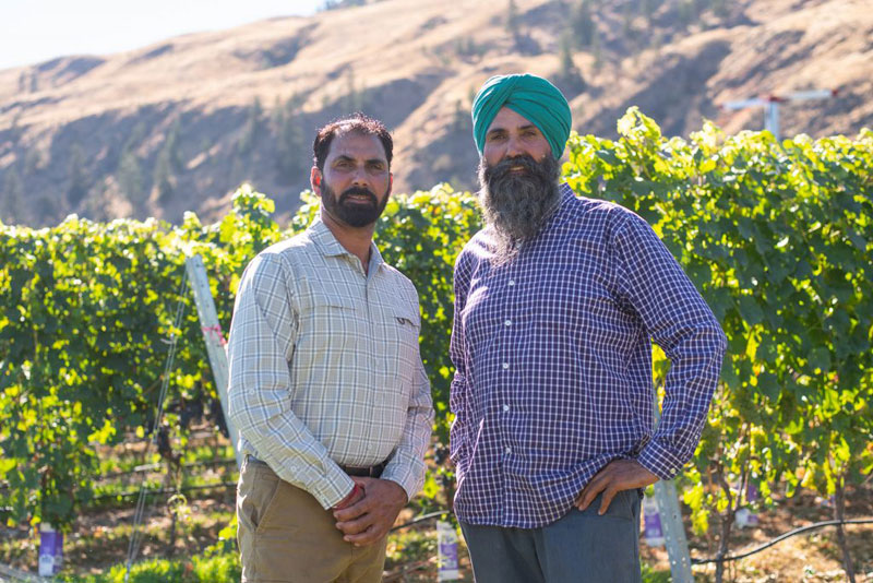 about-us-kismet-estate-winery