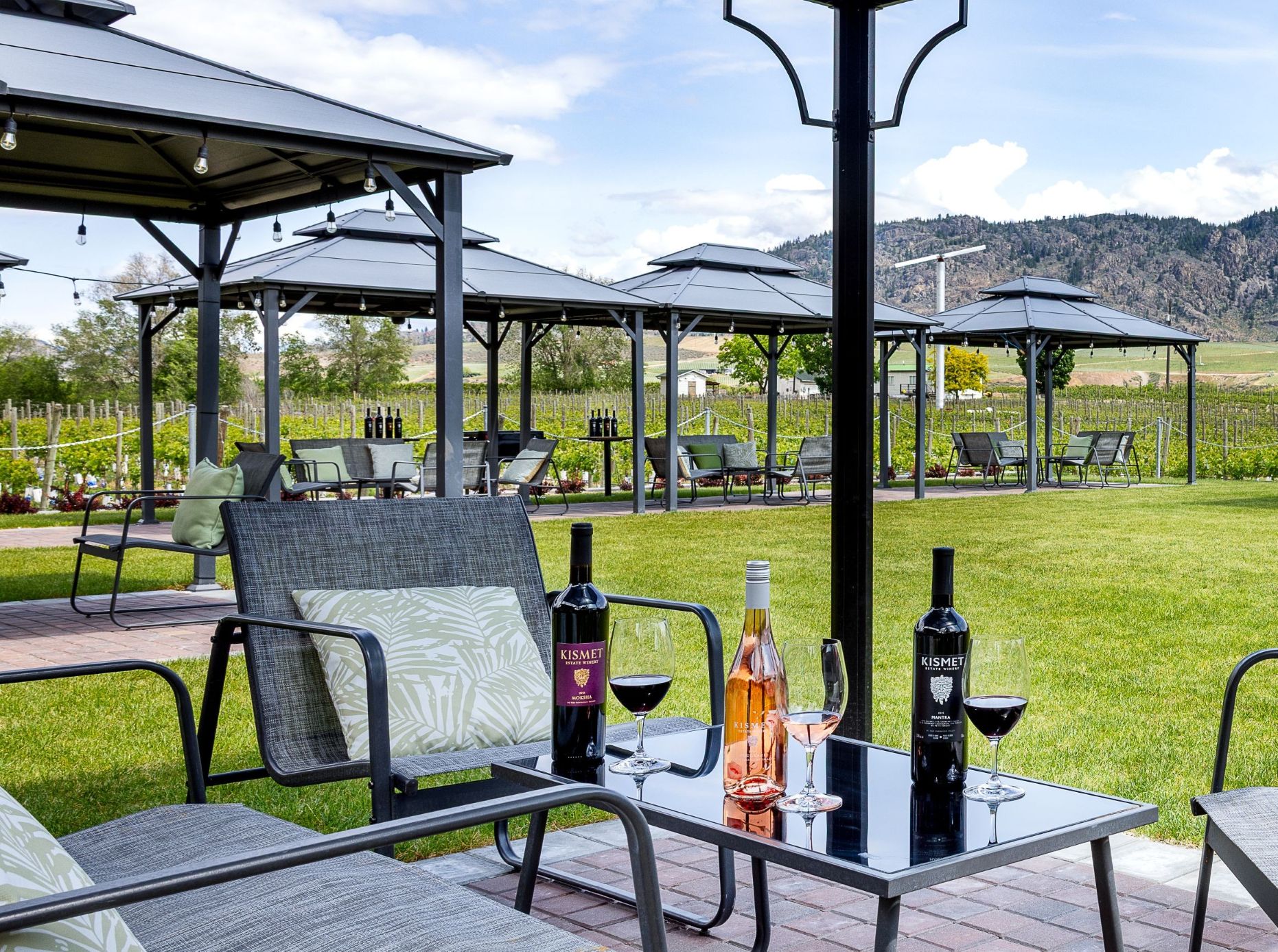 KismetWinery-6679-Edit-Edit